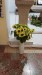 dd66facc-8a45-4d89-9076-4caee8f62384.jfif
