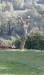 5f66070e-18c8-45bd-9dd6-4f5942e2351e.jfif